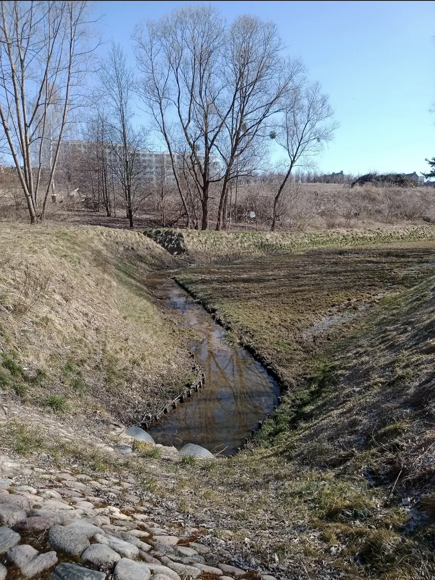 Stary zapomniany teren retencyjny - zdjęcie 1/4