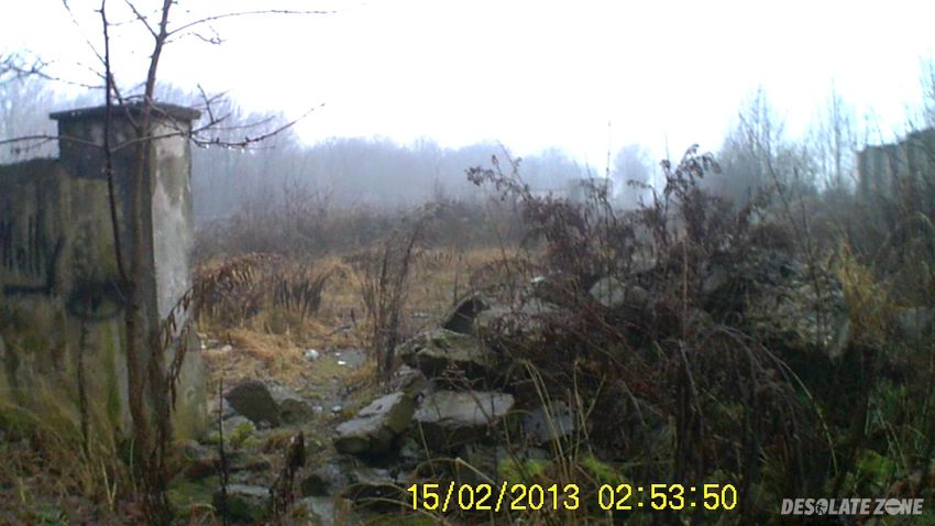 Ruiny p g r, błotnica strzelecka