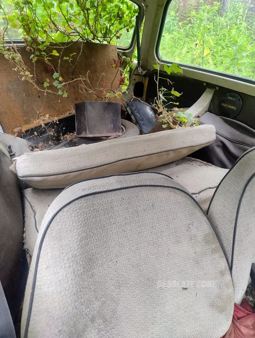 Porzucony trabant - photo 1/4