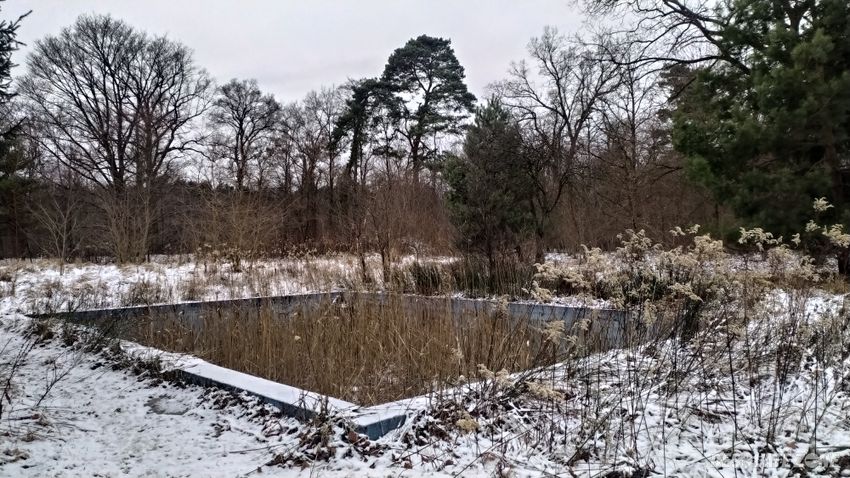 Opuszczony dom z basenem