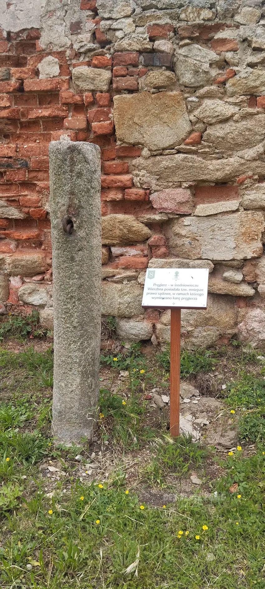 Zespół klasztorno-pałacowy, wierzbna - zdjęcie 1/11