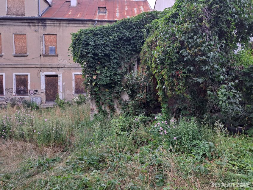 Opuszczona kamienica