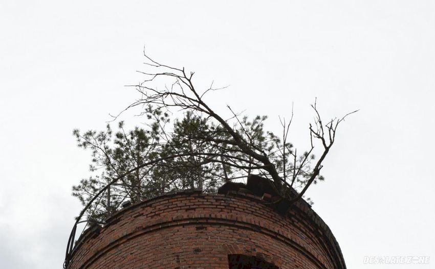 Pruska wieża obserwacyjna, biedrusko