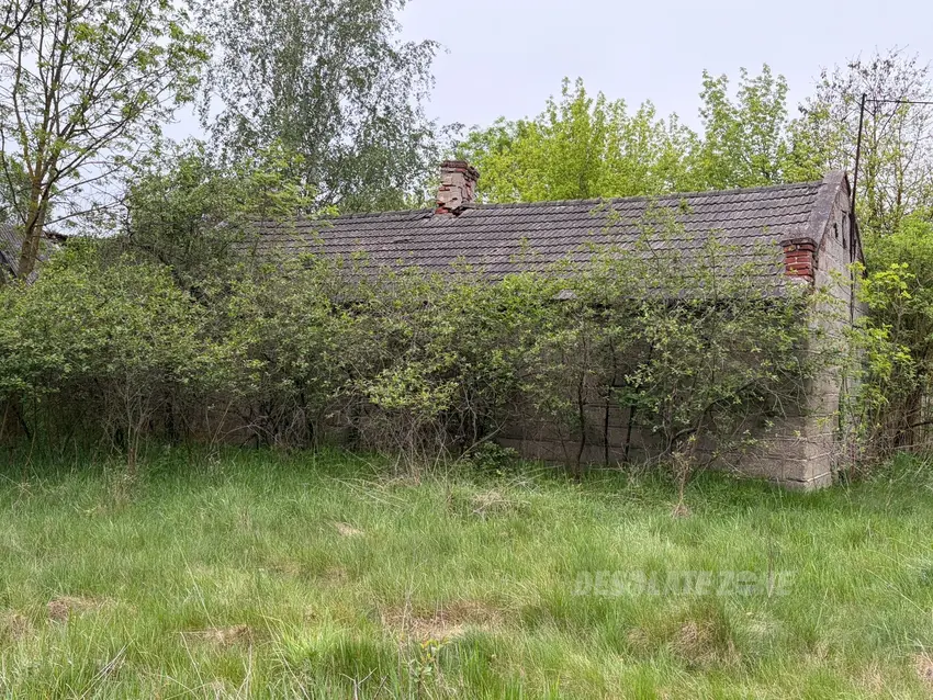 Opuszczone gospodarstwo - photo 1/4