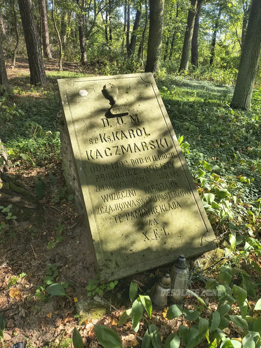 Zabytkowy cmentarz z przełomu x i x- x x wieku - photo 1/7