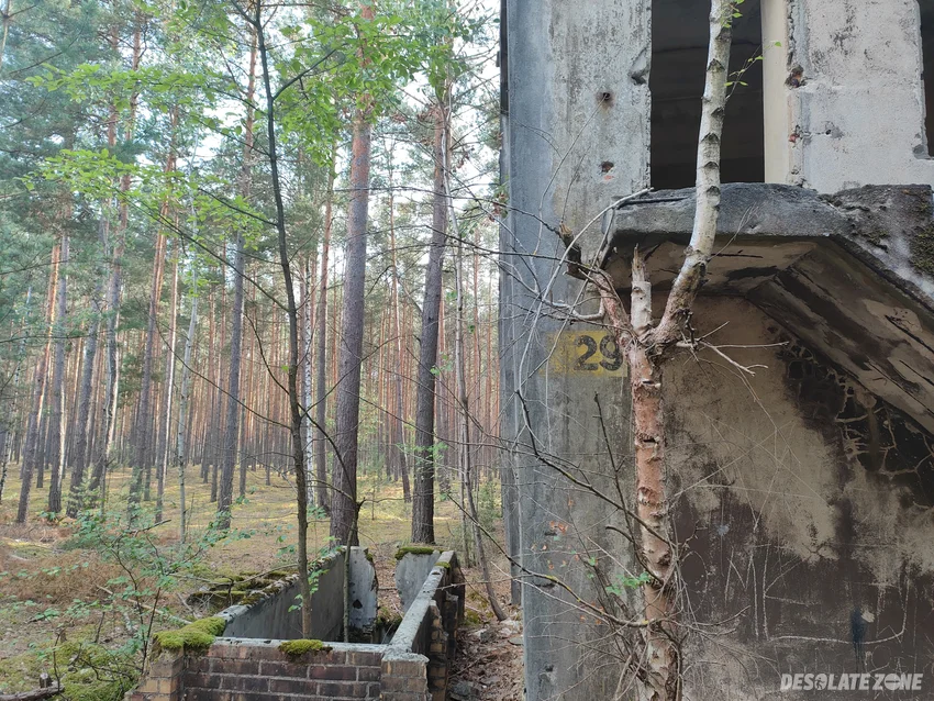 Fabryka d a g alfred nobel , krzystkowice - zdjęcie 1/4