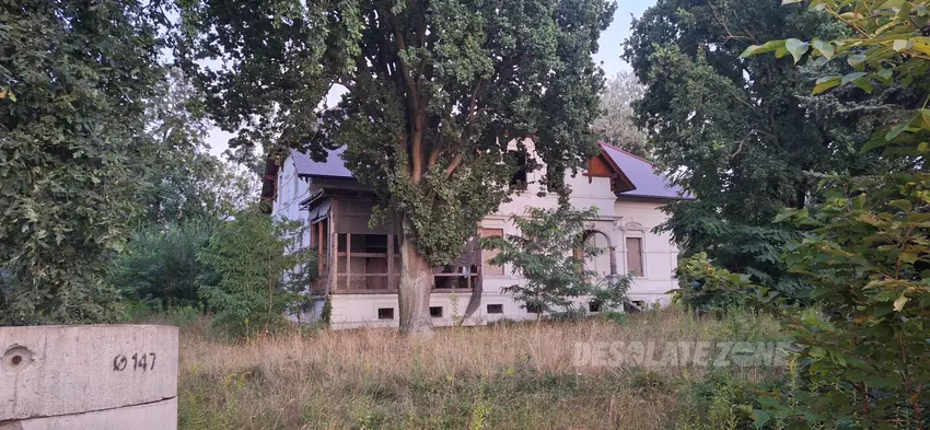 Willa petera hasenklewera - zdjęcie 1/1