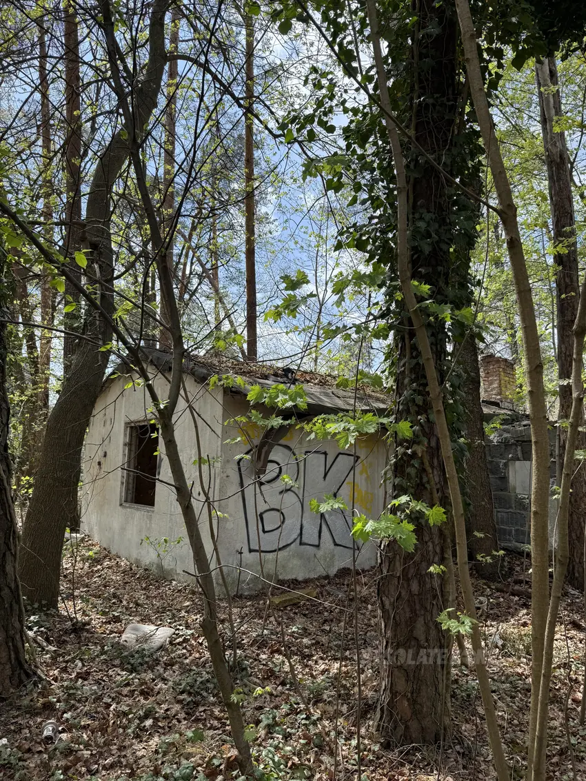 Opuszczone domki - zdjęcie 1/4