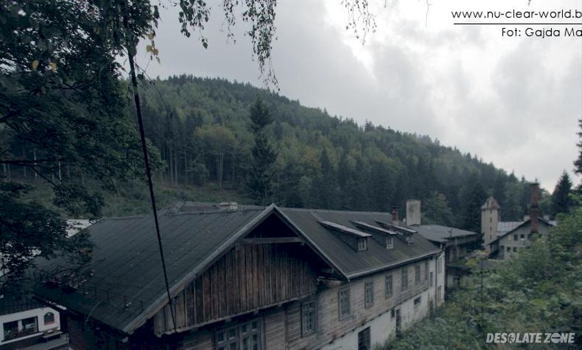 D w leśnik, międzygórze