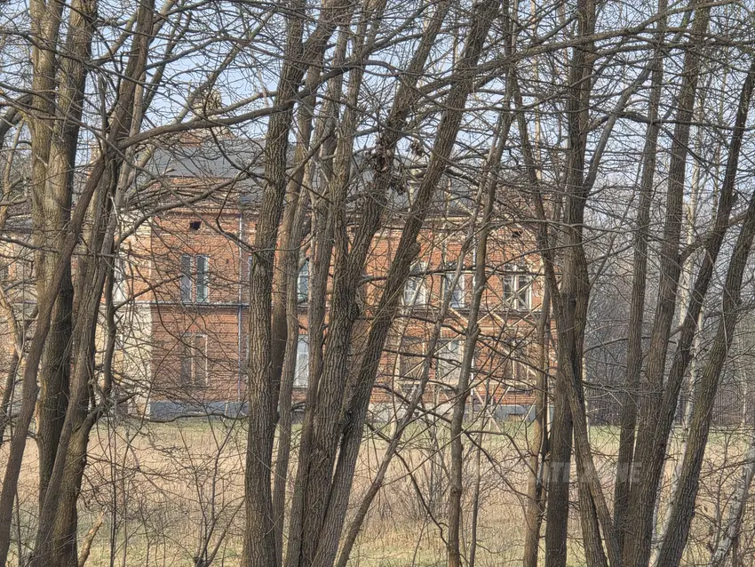 Kamienica " dom warkusa" - zdjęcie 1/1