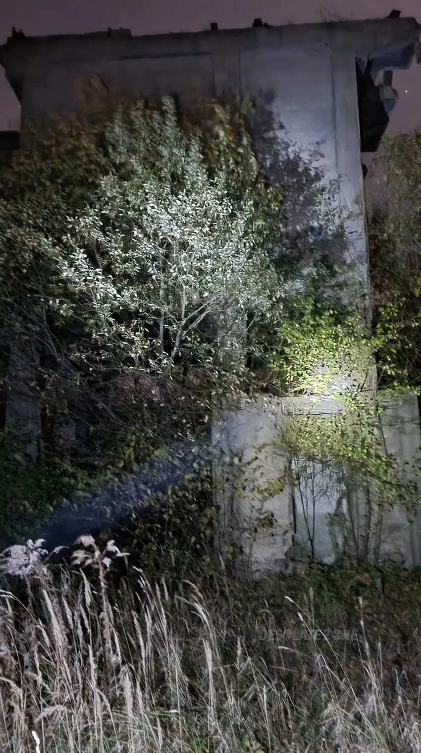 Pozostałości budynków industrialnych - zdjęcie 1/4