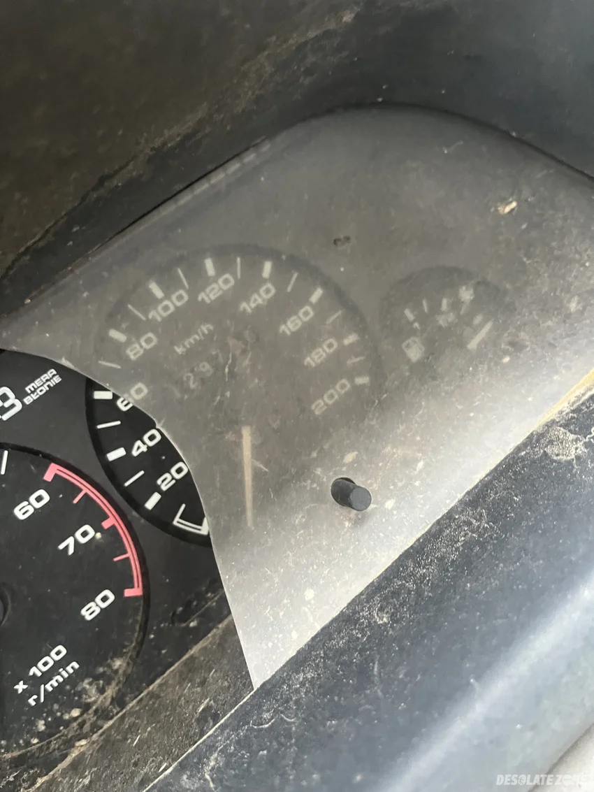 Porzucony polonez - zdjęcie 1/4