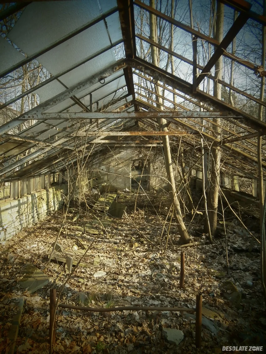 Opuszczone szklarnie
