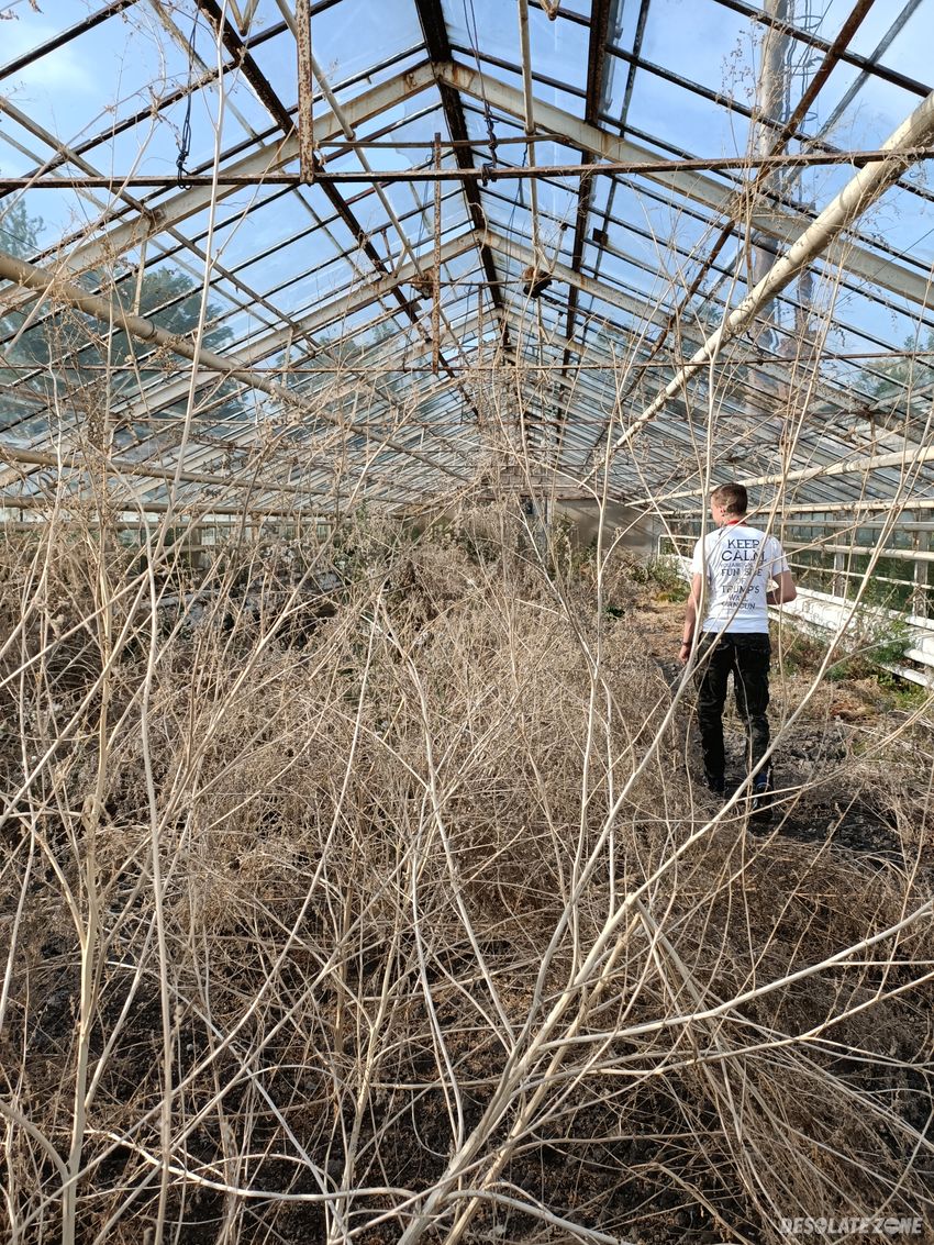 Opuszczone szklarnie - janów