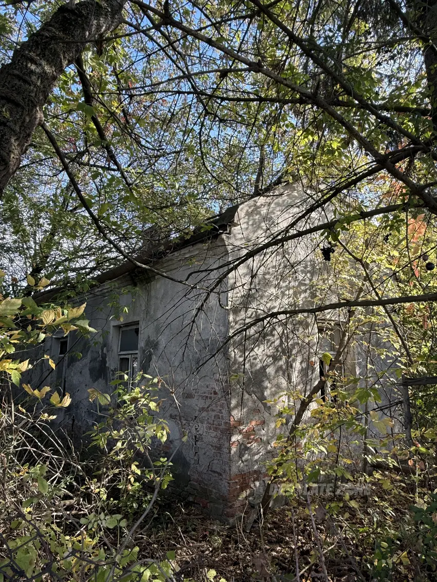 Opuszczony dom z lalką - photo 1/5