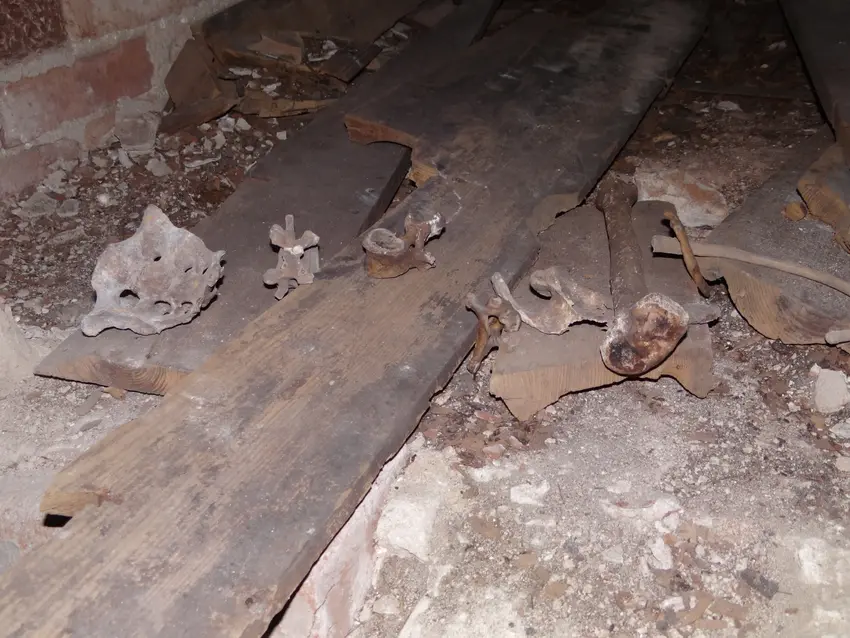 Kaplica grobowa gąsiorowskich, gołebiów - zdjęcie 1/4