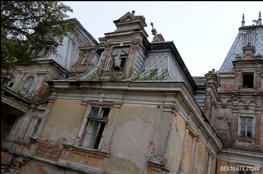 Pałac sobańskich, guzów