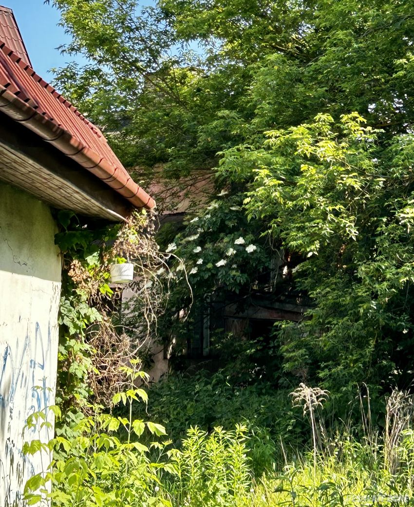 Opuszczona kamienica