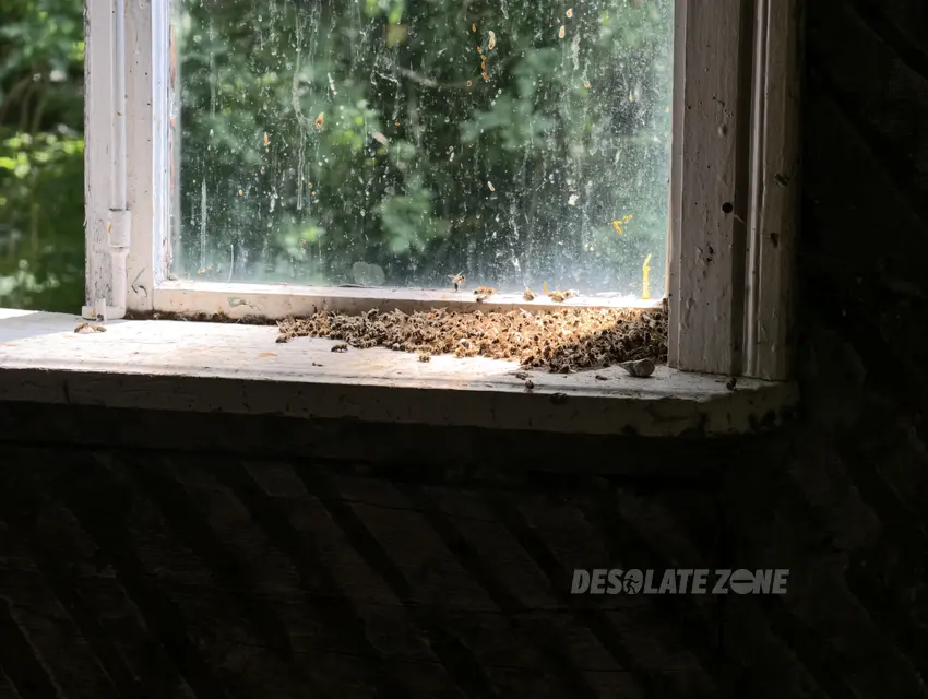 Domek letniskowy - zdjęcie 1/4