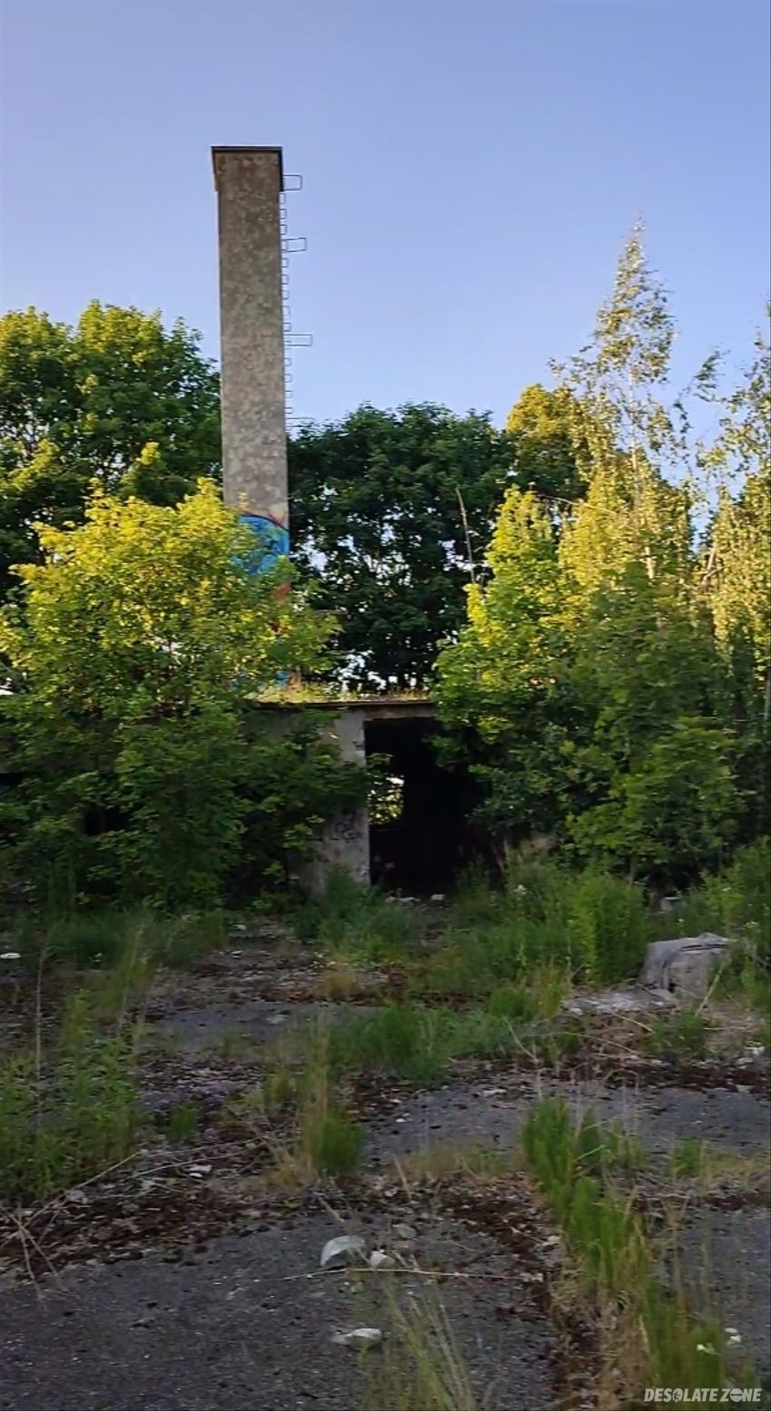 Ruiny zakładu produkującego olej z rzepaku