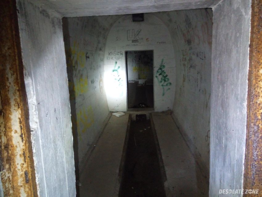 G w schill, kursko- dębie