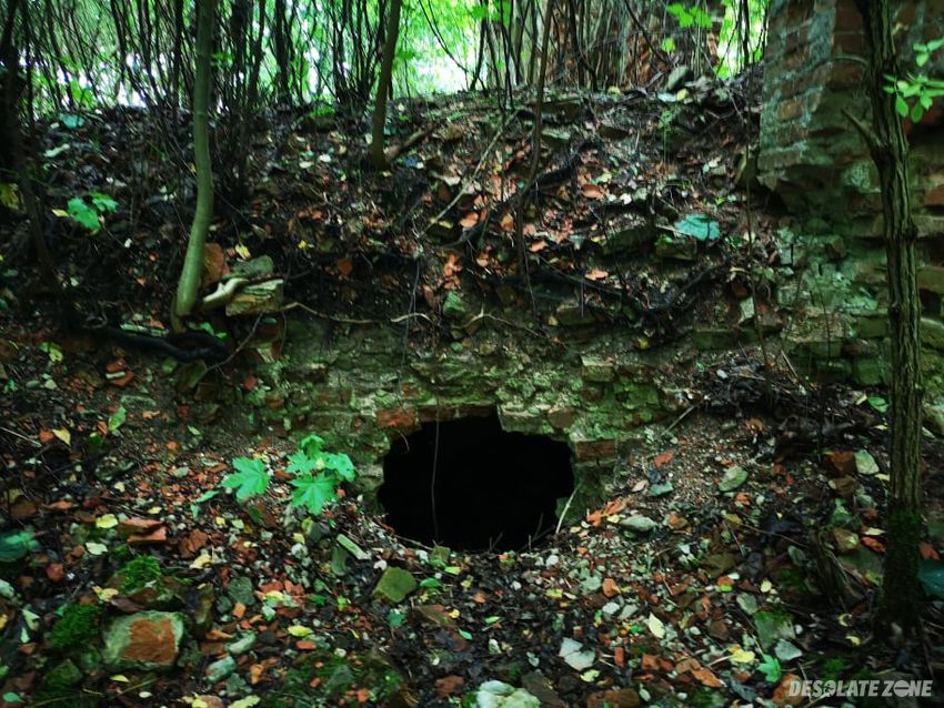 Ruiny letniego pałacu poniatowskich, góra