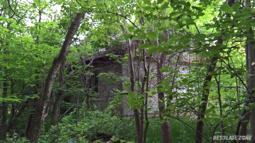 Opuszczony dom w środku lasu