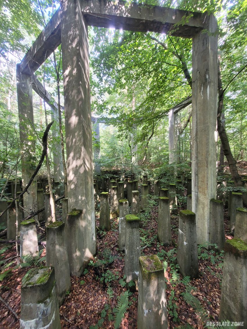 Ruiny elektrowni , nowe czaple