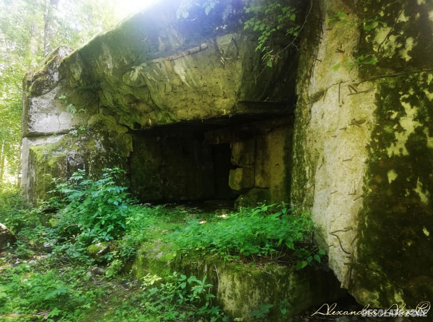 Kwatera s s b u n k r y hitlerowskie , radzeje - las