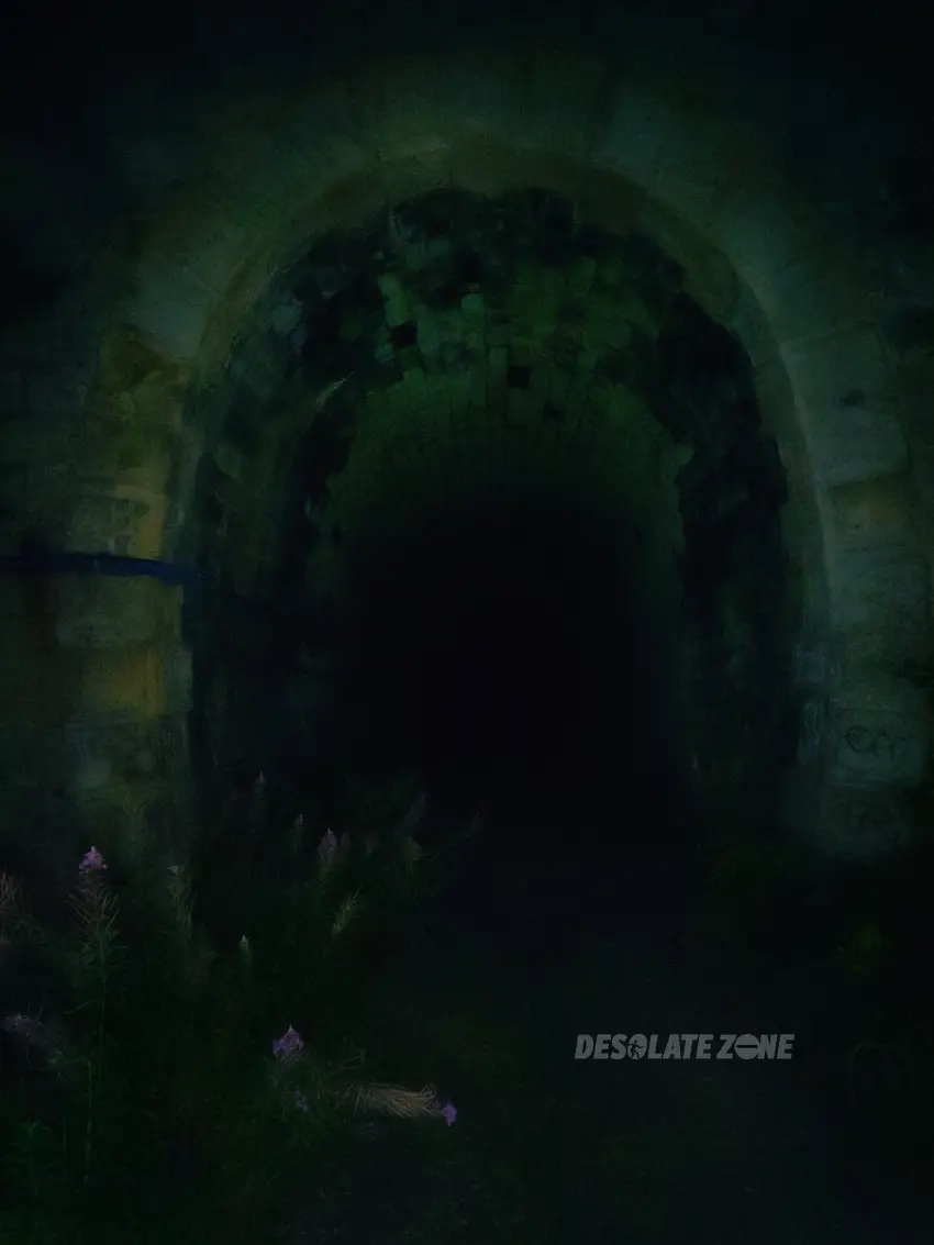 Tunel kolejowy pod małym wołowcem - zdjęcie 1/22