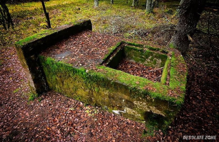 Opuszczone bunkry- trójkąt lidzbarski