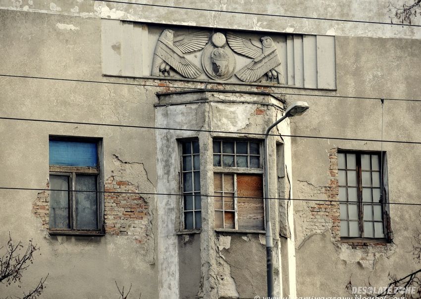 Kamienica pod skarabeuszami