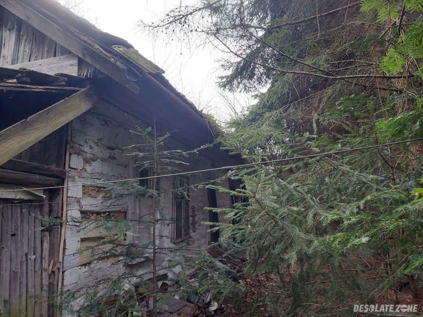 Opuszczona chata w lasku