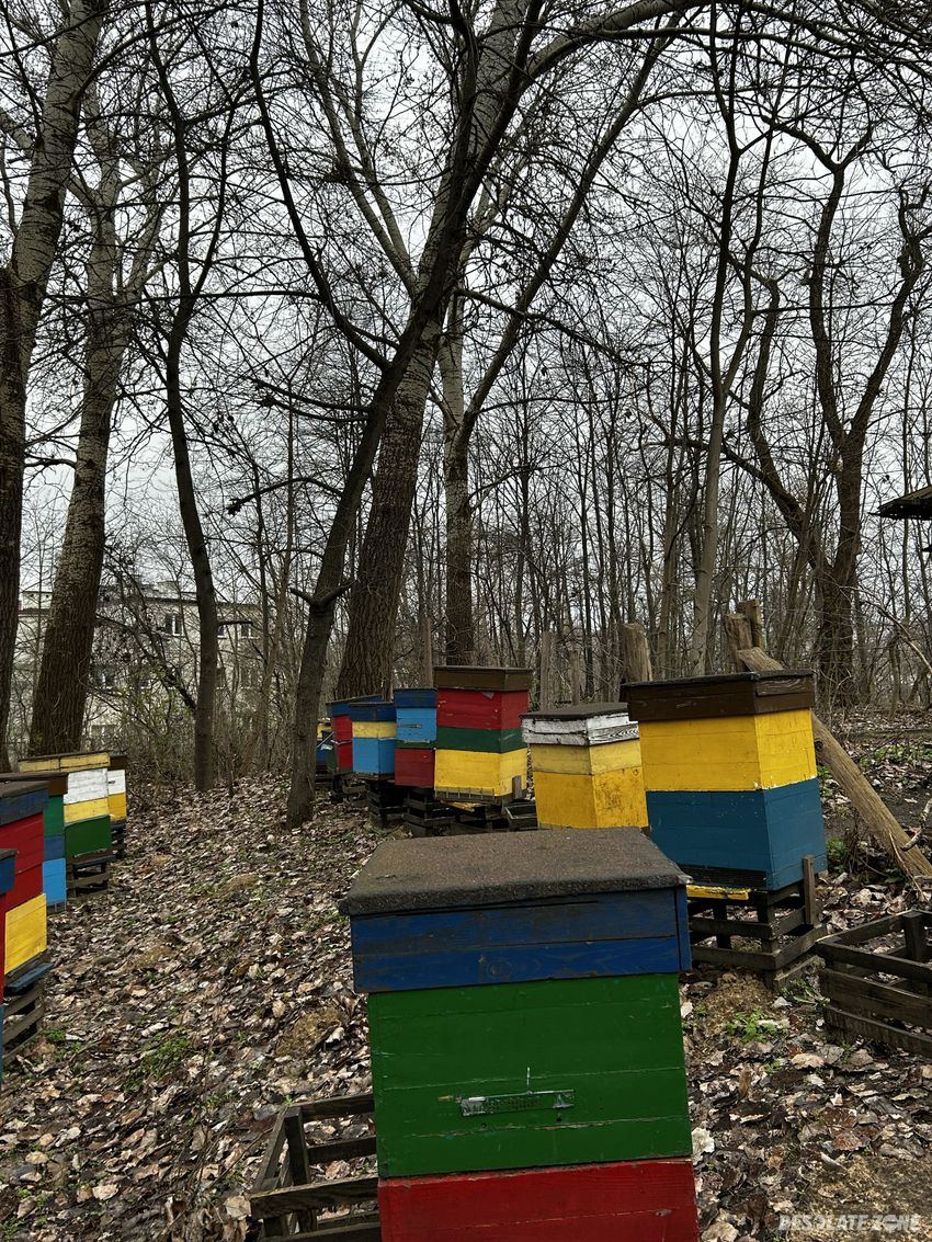 Opuszczony dom, warszawa