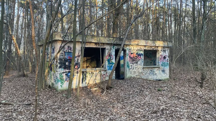 Szkółka roślin ozdobnych - zdjęcie 1/4