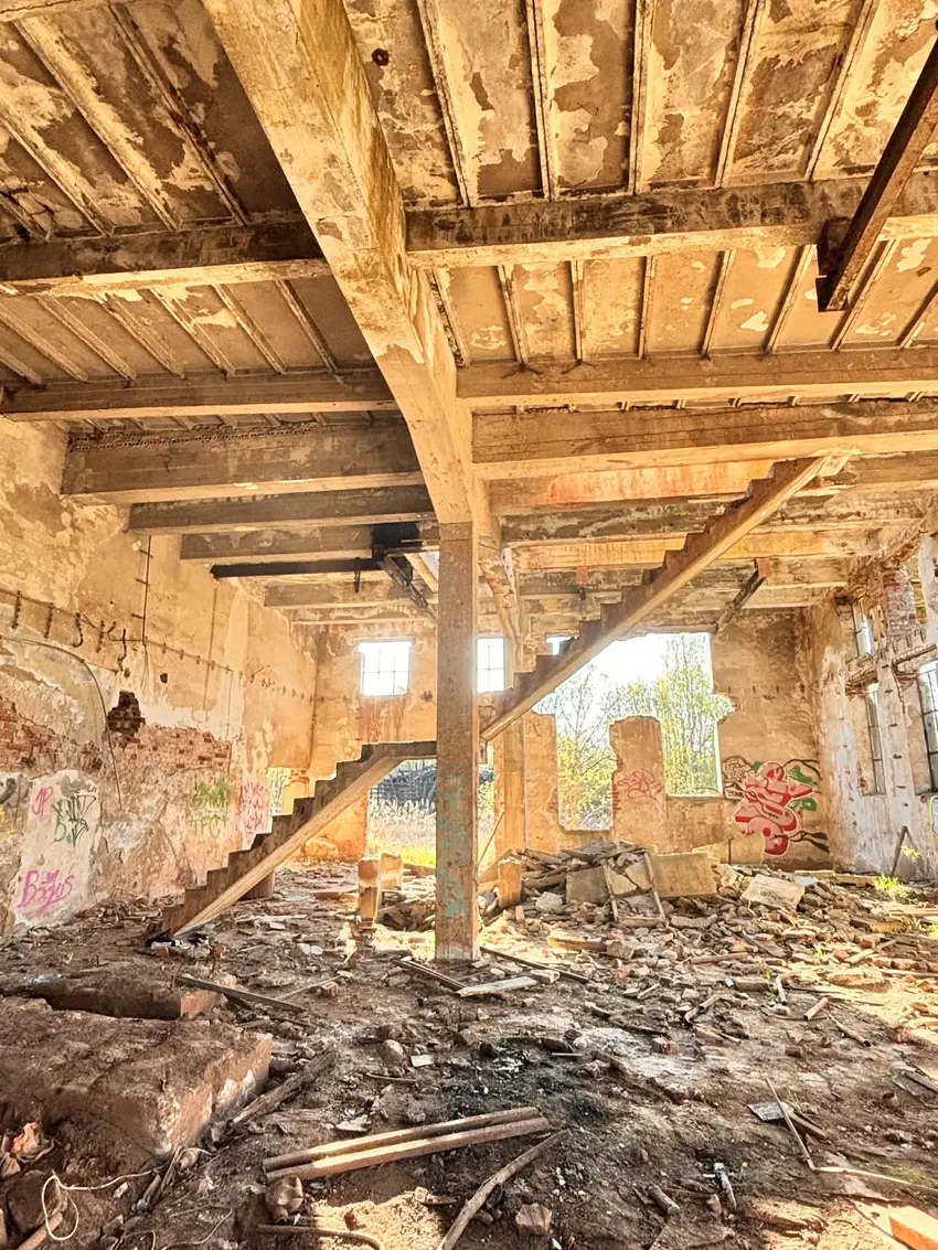 Cegielnia ,, gotyka'', czaple wolne - zdjęcie 1/4