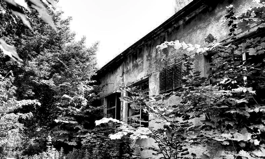 Nieczynny budynek szpitala Św. aleksandra, kielce