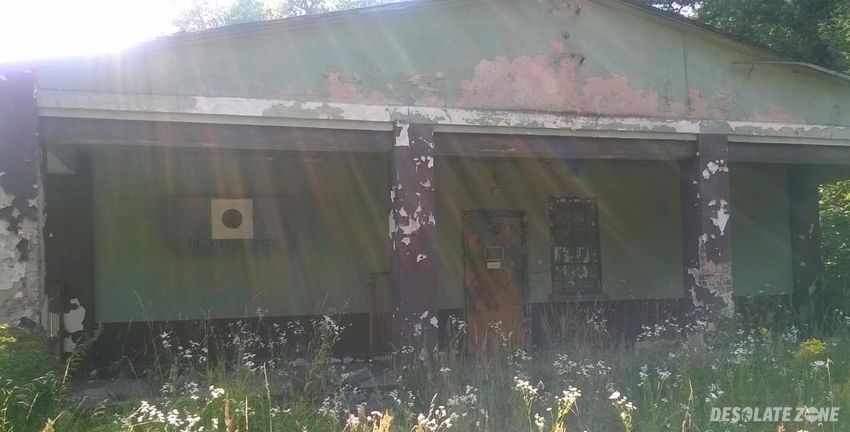 Okolice nieużywanego powojskowego lotniska , oleśnica