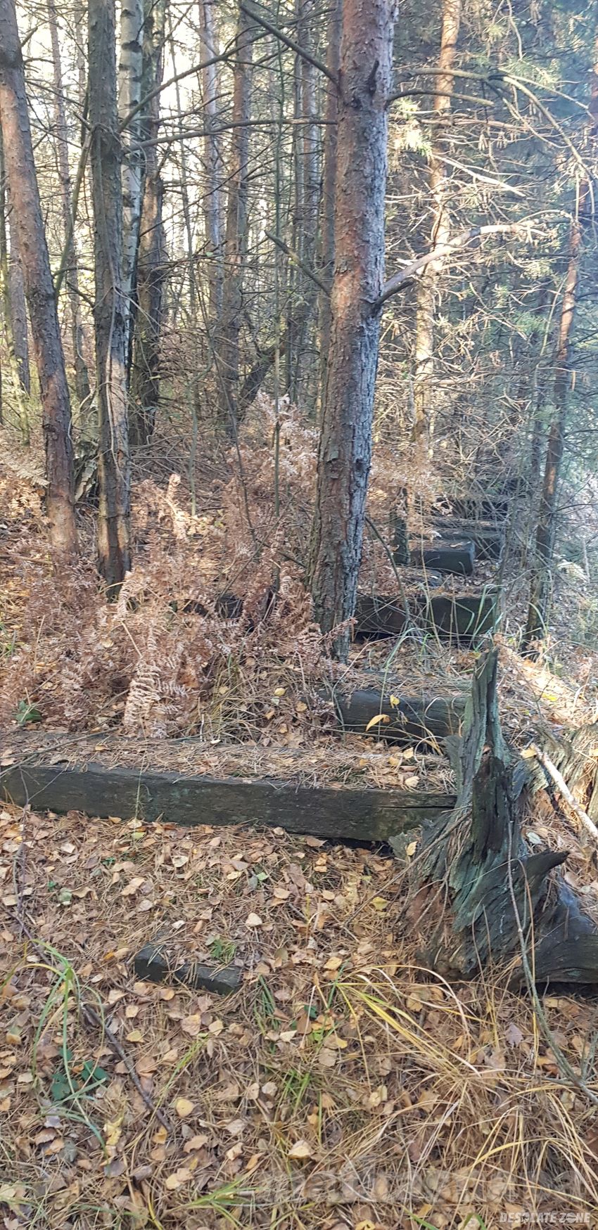 Dawne wyrobisko cegielni