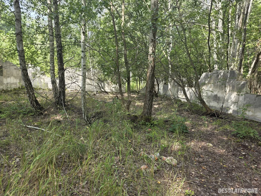 Pieczarkarnia i dom mieszkalny