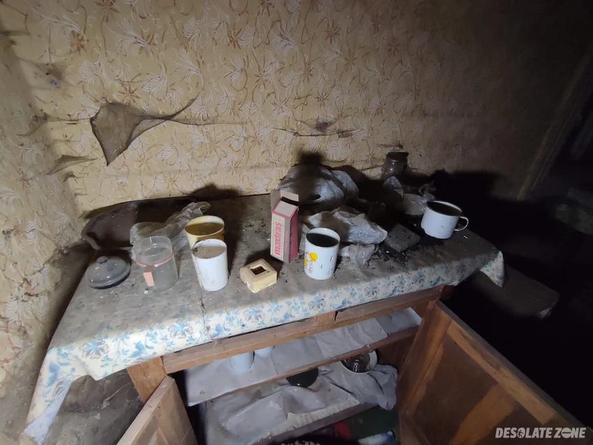 Zarośnięty domek - zdjęcie 1/3