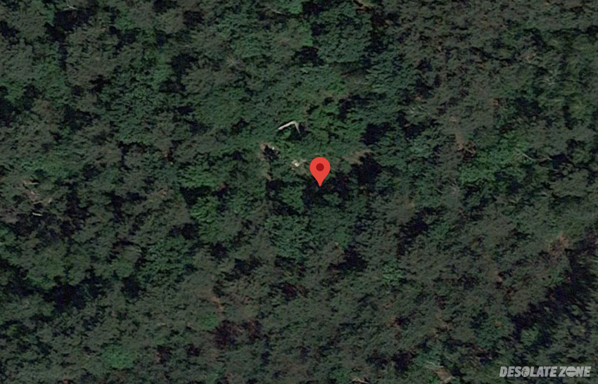 Chata w lasach chojnowskich