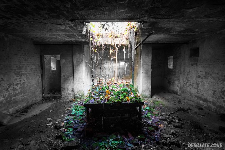 Mauzoleum rodziny cohenów.