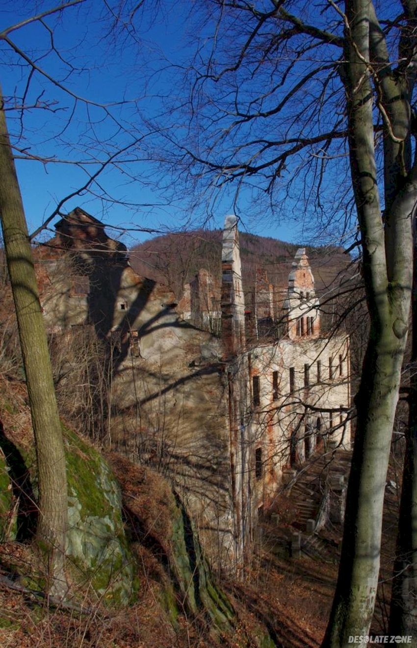 Ruiny zamku niesytno w płoninie, płonina