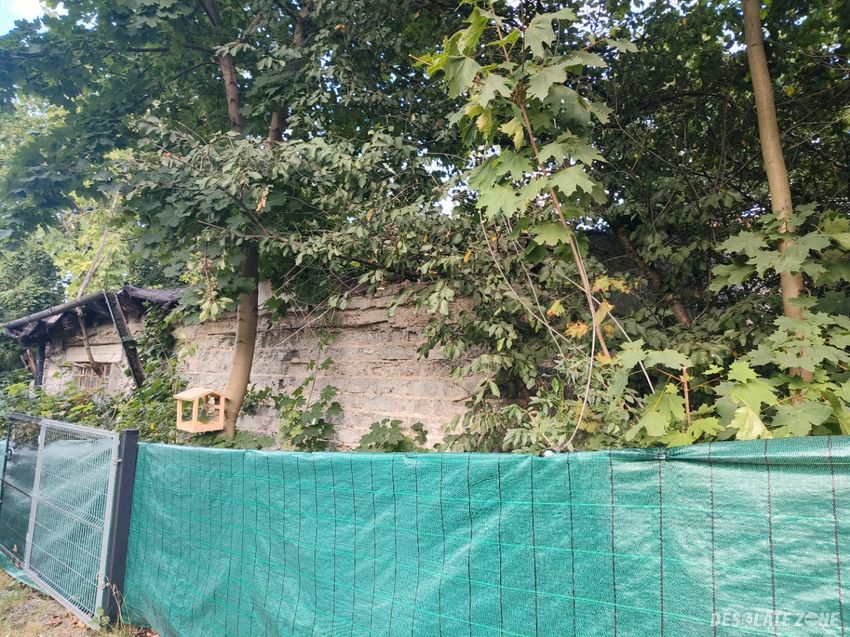 Opuszczony dom schizofrenika