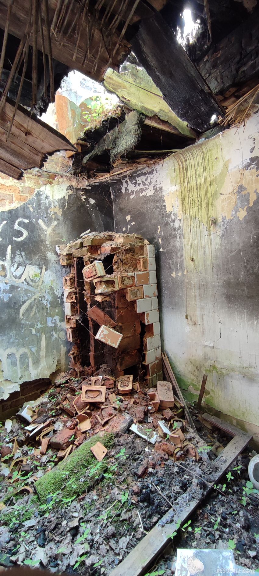 Zniszczony domek w lesie