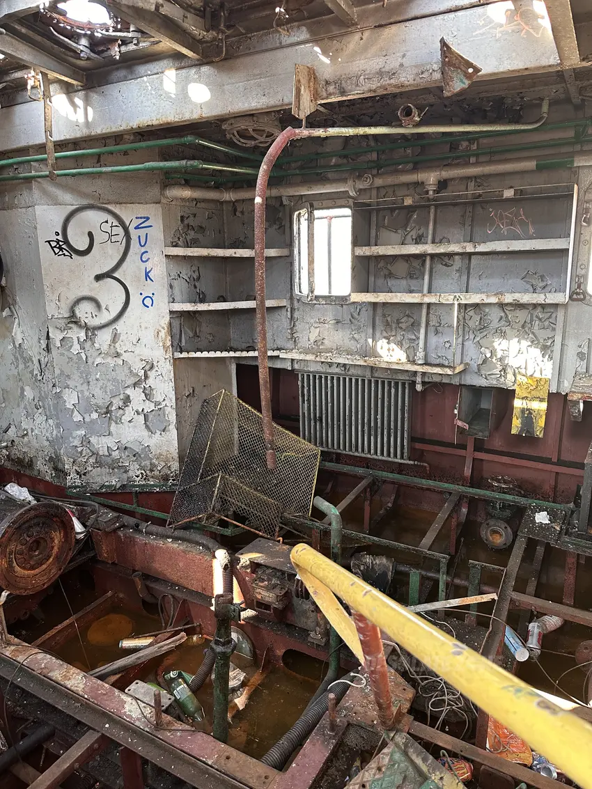 Pchacz łoś-k17 - zdjęcie 1/4