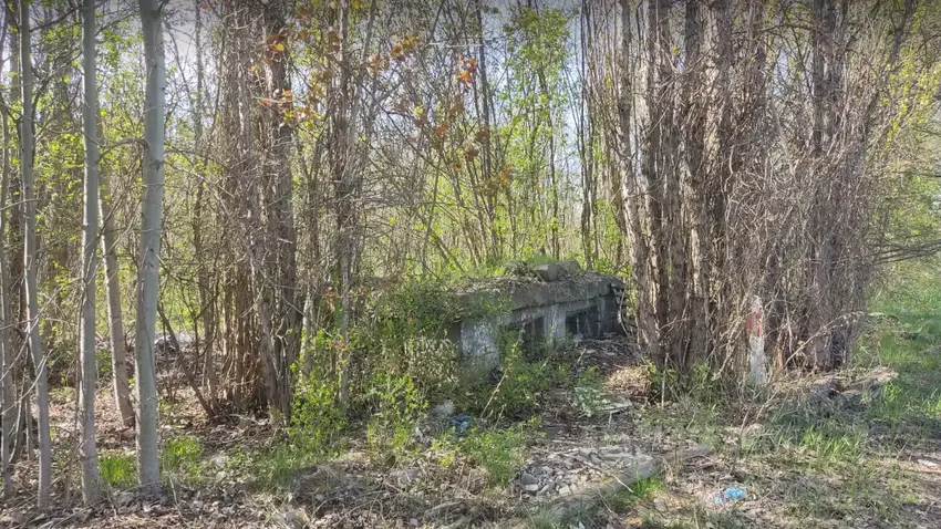 Schrony na terenie anilany, Łódź - photo 1/4