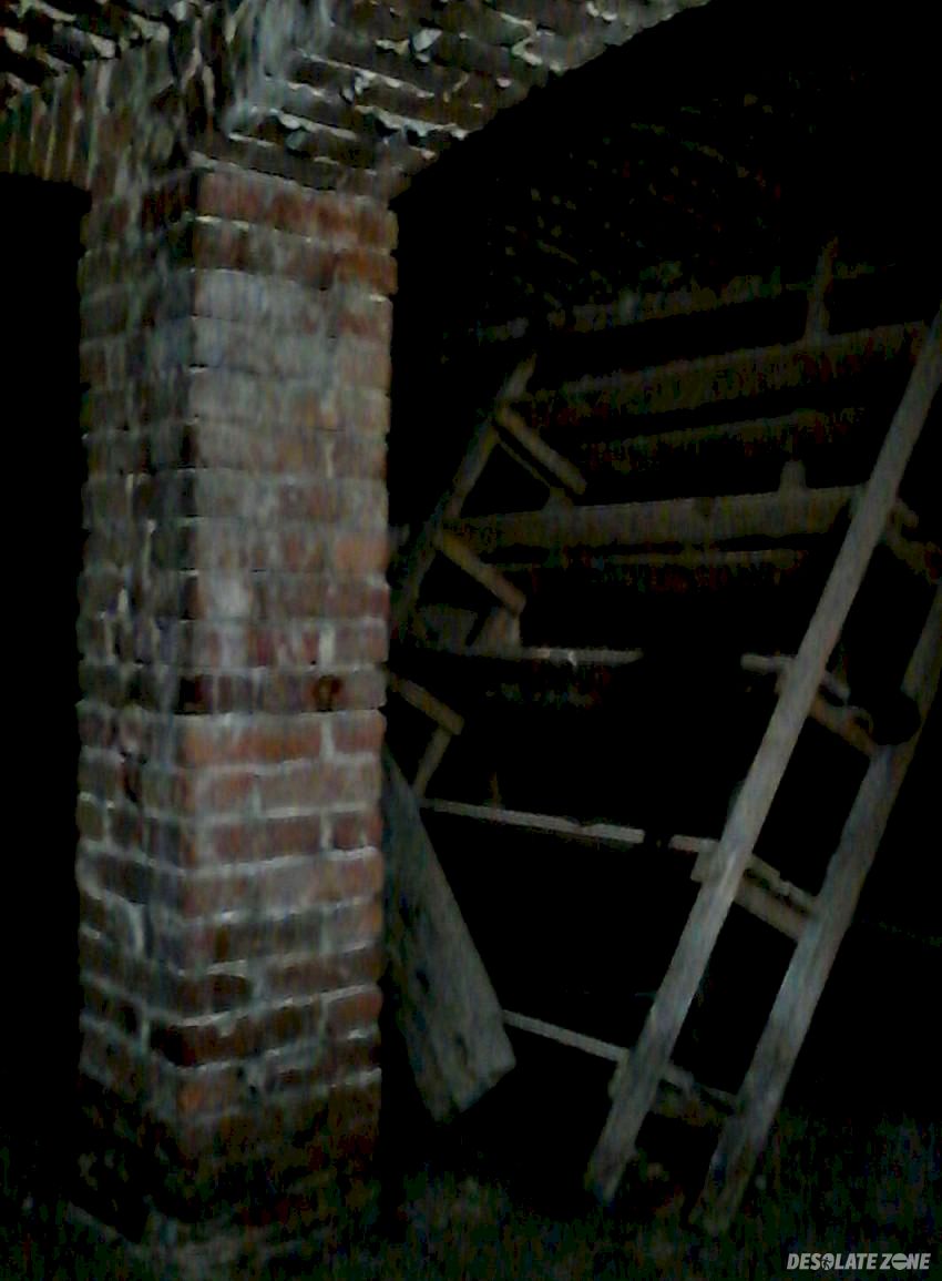 Zieleń miejska, opole