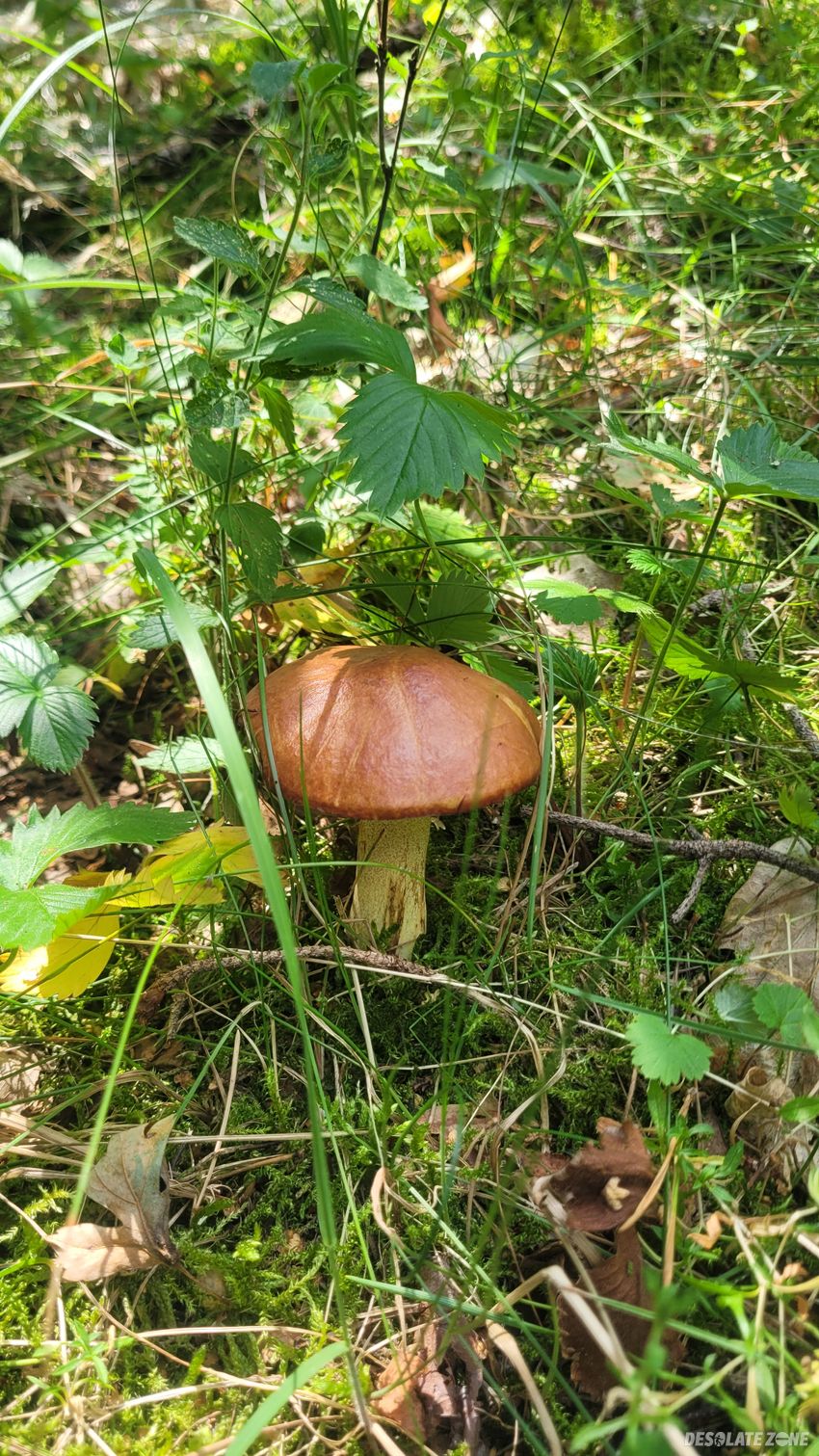 Węzeł komunikacyjny j w 1046